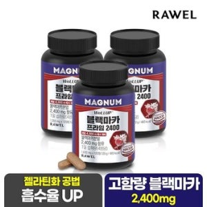 로엘 웰업 매그넘 블랙마카 프라임 2400 120정 x 3통