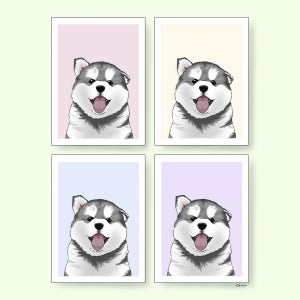 📸 반려동물 증명사진 배경화면 📸, 그리라.Grira