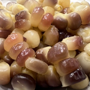 강원도 정선 흑찰 냉동옥수수 알맹이 1kg, 구름달옥수수