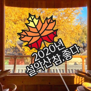 🍁단풍토퍼🍁가을 낙엽 단풍 여행 등산 기념 필수템, 부유(BUYOU)