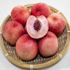 (신선집중) 복숭아 백도 황도 딱딱이복숭아 4kg (15-20과 내외) 한정수량 1주일 특가행사