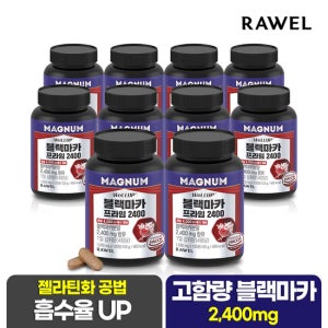 로엘 웰업 매그넘 블랙마카 프라임 2400 120정 x 10통