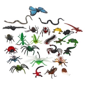 유아원 방문교실 자연탐구 학습용 미니 곤충모형/ 유치원교구 애벌레