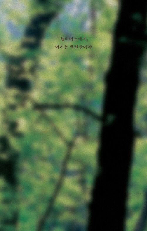 셉티머스에게,여기는백련산이야