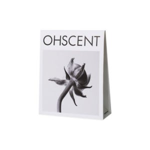 오센트 퍼퓸샤쉐 기획세트 포레스트2입+제주1입