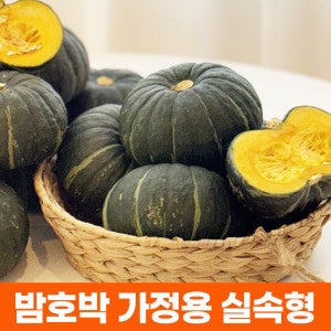 (신선집중) 밤호박 단호박 보우짱 제주산 미니 밤단호박 4kg