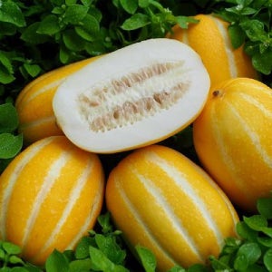 국내산 가정용 성주 참외 소과 4kg 24과 내외