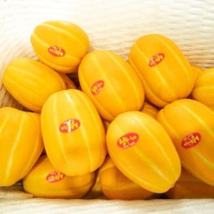 국내산 가정용 성주 참외 로얄 중과 9kg 36과 내외