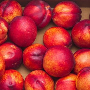 국내산 신선 천도복숭아 특대과 2kg 10-13과