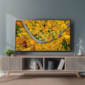 LG  울트라 HD 43UR340C9ND