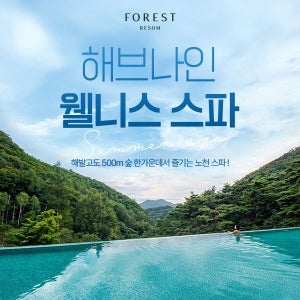 포레스트 리솜 해브나인 스파 제천 포레스트 리솜 해브나인 스파 (~12/19)