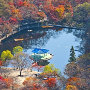 내장산 단풍 당일기차여행, KTX 10:40