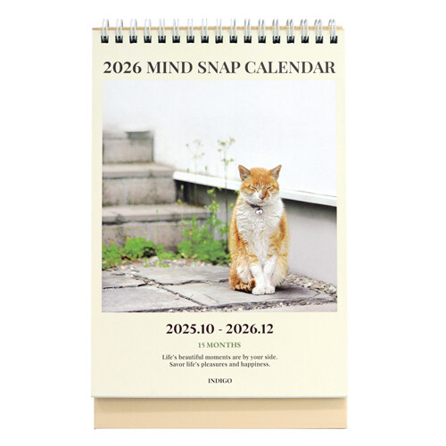 [고양이] 2026 마음사진 탁상 달력 (데스크 캘린더 포토 감성 인테리어)