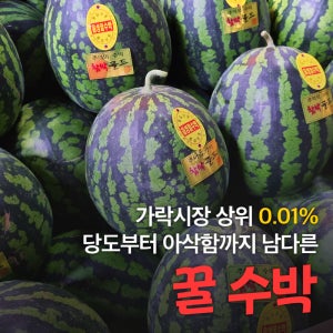 [달콤 보장] 아삭 꿀 수박