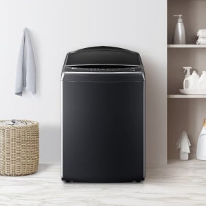 LG 통돌이 세탁기 T25PX9
