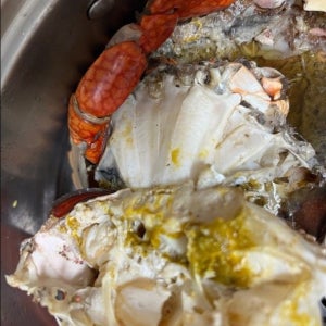 청게 머드크랩 알리망오 톱날꽃게 활 자이언트크랩/손질 후 1.6kg 이상