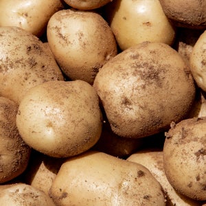 포슬포슬 강원도 고랭지 수미 감자 3kg(80g-120g)