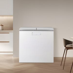 LG 디오스 김치톡톡 K223LW121