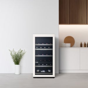LG 디오스 오브제컬렉션 와인셀러 W0772GB