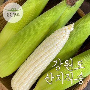 강원도 횡성 고랭지 찰옥수수 특품 30개 무료배송