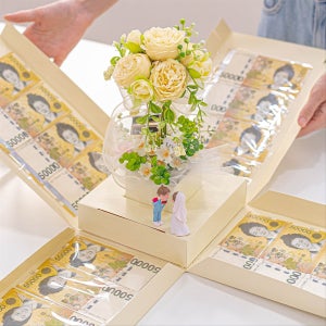 마음담은집 특별한 서프라이즈 꽃나무 용돈박스, 마음담은집