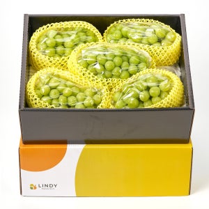 초록초록팜 고당도 프리미엄 샤인머스켓 4-5송이 (4kg) 세트 박스 포도 청포도 고당도 선물 세트 샤인머스캣 여름 과일