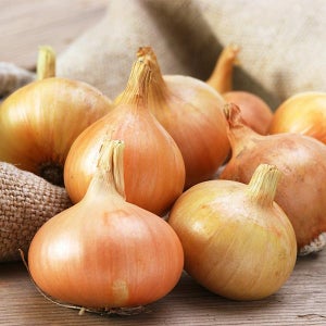 자연맛남 품질보장 국내산 양파 3kg 5kg 10kg 크기별