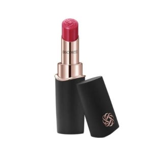 데코르테 루즈 크림 글로우 립스틱 겨울 쿨톤 17G