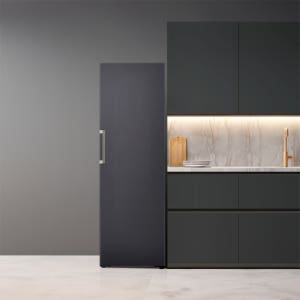 LG 컨버터블 패키지 오브제컬렉션(냉동전용고) Y321MB3S