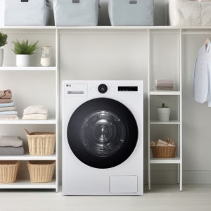 LG 트롬 오브제컬렉션 건조기 RD22WS