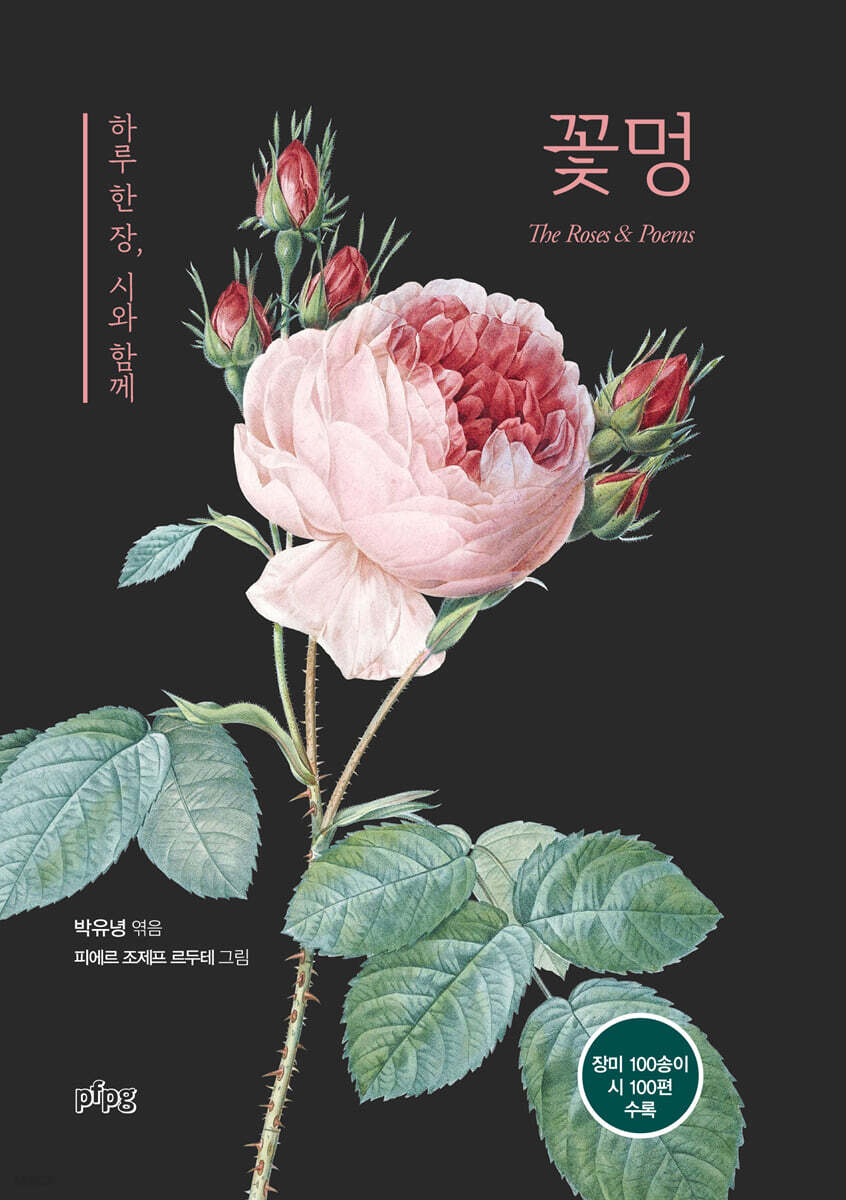 꽃멍 : 하루 한 장, 시와 함께 표지