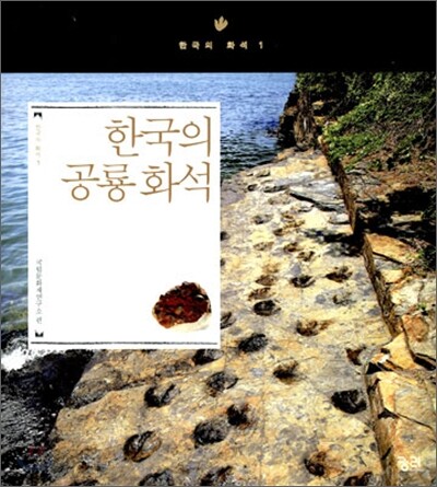 한국의 공룡화석