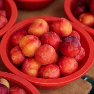 국내산 김천 제철 노지 자두 대과 4.5kg