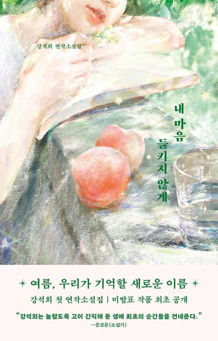 내 마음 들키지 않게 강석희 연작소설집