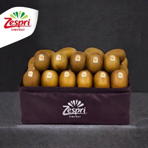 제스프리 프리미엄 썬 골드키위 선물세트 자이언트 점보과 5.72kg 31입