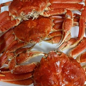 킹크랩 활 자숙 러시아 시세 대게 (떠리자숙대게3kg2미4미)