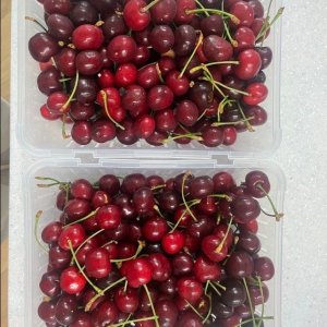 국내산 프리미엄 생 체리 경주체리 (고급형 2kg 중대)