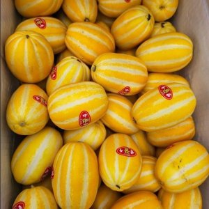 산지직송 특품 성주참외 / 못난이 참외 / 랜덤과 / 10kg랜덤과