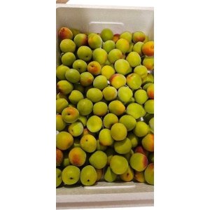 황매실 / 5kg (씨 있는 통매실) 프리미엄