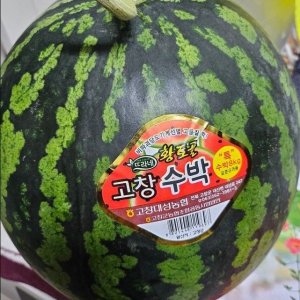 고창 꿀 수박 8kg 이상