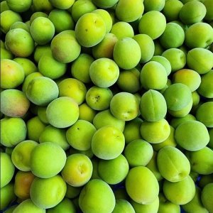 남고매실(홍매실) / 왕 10kg