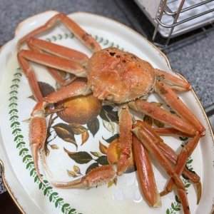 킹크랩 활 자숙 러시아 시세 대게 (떠리자숙대게2kg2미3미)