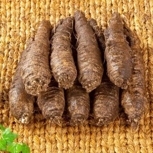 [울몸애] 세척 더덕 왕특 1.2kg (6~8뿌리) 가정용