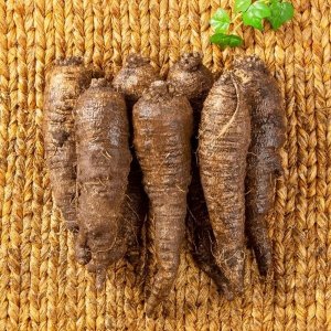 [울몸애] 세척 더덕 왕특800g (4~5뿌리) 가정용