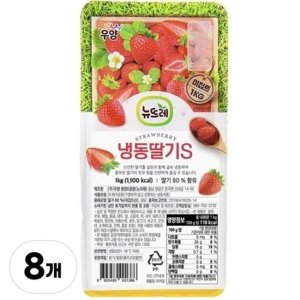 뉴뜨레 가당 딸기 슬라이스 이집트산 8kg (1kgX8개)