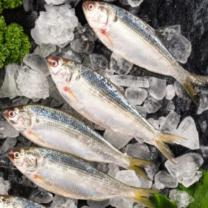 구이로 제격인 남해 자연산 별미 급냉 전어 1kg(15미 내외)