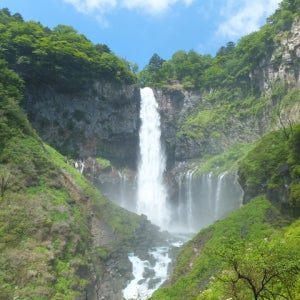 닛코국립공원 도쿄 근교 4일 닛코/치바/시부야