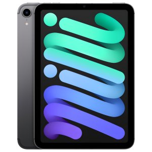 Apple 아이패드 mini  스페이스 그레이  64GB  Wi-Fi