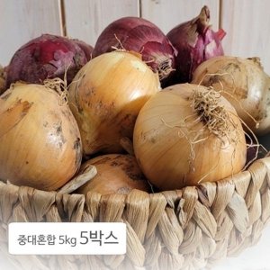 전남 황토골 무안 양파 중대혼합 5kg 5박스 해풍 조생 만생 단단한...