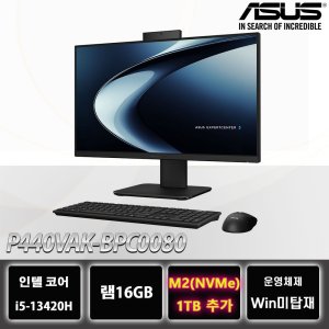ASUS 올인원 PC P440VAK-BPC0080 NVME 1TB 추가 데스크탑 모니터 일체형 컴퓨터